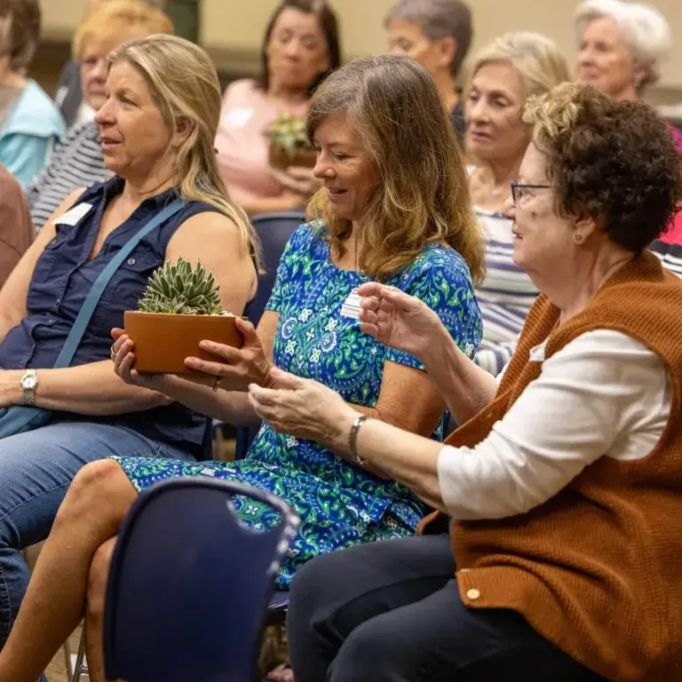 Love Of Learning - Succulents